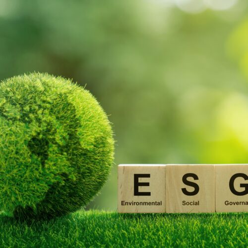 Introduktion til netværket for Bæredygtighed og ESG