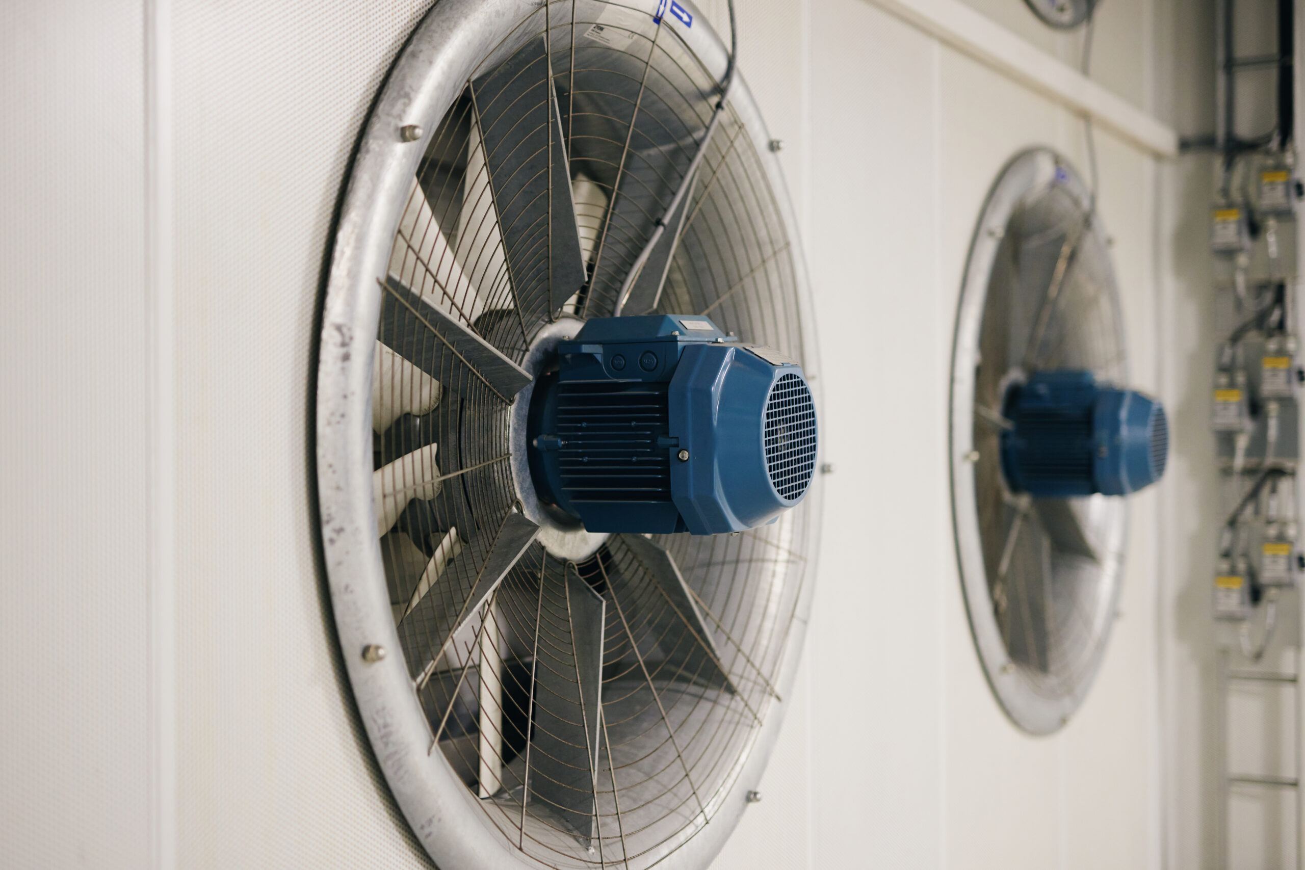 bæredygtig-casesamling