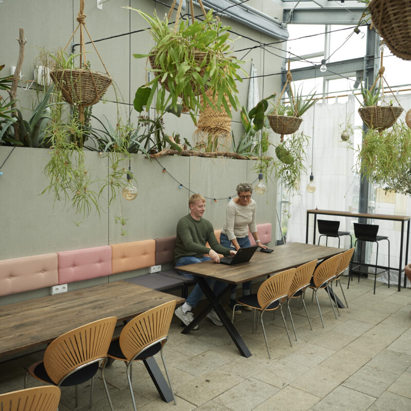 KAB case DFM casesamling