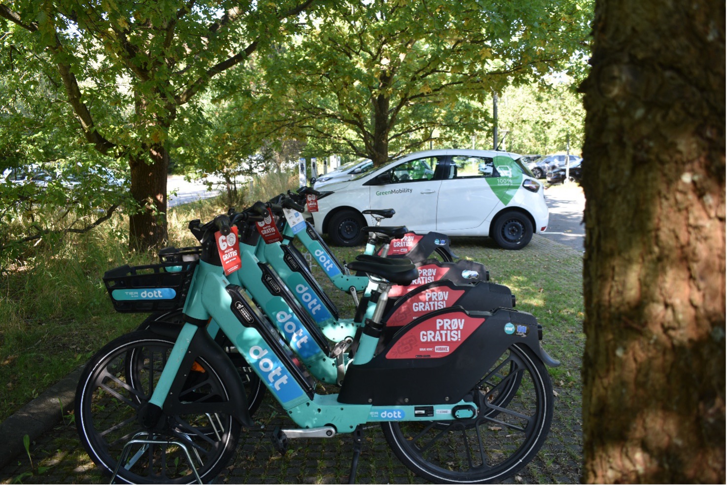 Delemobilitet i Rudersdal